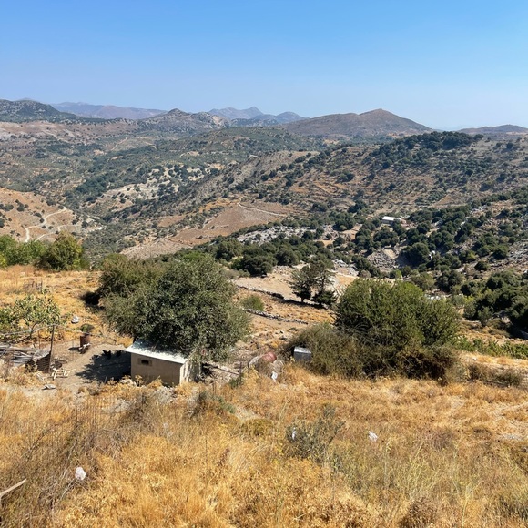 Meet your Posher, Shane - Picture 1 of 1